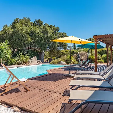 Calyaunati Di San Ciprianu