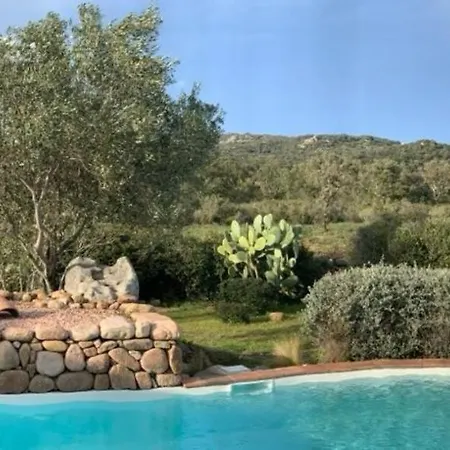 Pleine De Charme Avec Piscine Proches Des Plages * Lecci