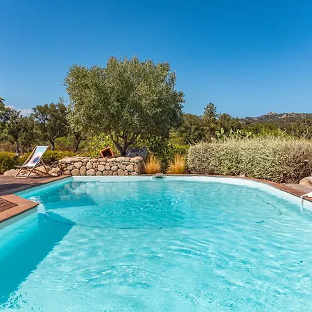 Calyaunati Di San Ciprianu Lecci