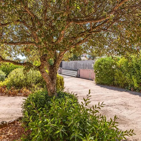 Villa Calyaunati Di San Ciprianu *