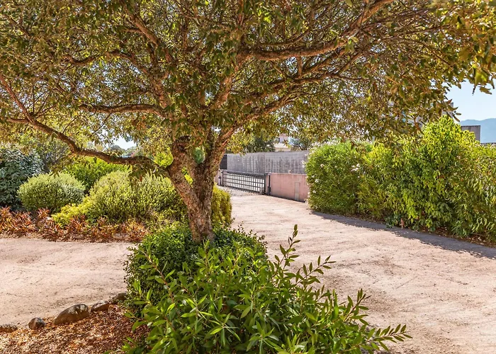 Vila Calyaunati Di San Ciprianu *